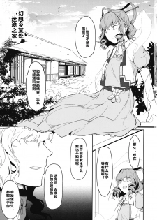 (C97) [Flying Bear (Hiyou)] Reverse Damage (Touhou Project) [Chinese] [17个人汉化] - page 2