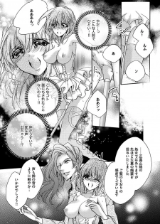 [ゆえこ] 鬼畜兄弟の悶絶調教～私はいいなり奴隷～ - page 13