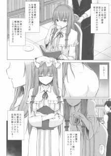 (Meikasai 14) [Tekomenchi (Techi)] Patchouli Knowledge Kaihatsu Kiroku (Touhou Project) - page 3