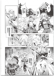 (C95) [P.Y.WORKS (Nyuutora)] sacrifice (Goblin Slayer) [Chinese] [不可视汉化] - page 24