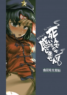 [Hakonnbu Kitamaebune (Hakonnbu)] Shindeiru node Kanjimasen!! (Touhou Project) [Chinese] [零食汉化组] [Digital] - page 23