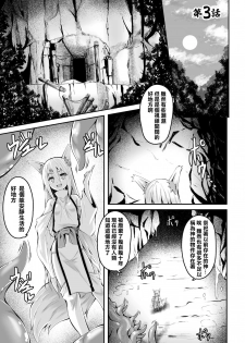 [Fumihiro] Youko Inmon Kitan 3 [Chinese] [暴碧汉化组] [Digital] - page 4