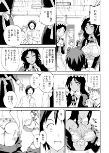 [Otumaru] Boku Senzoku Maid ga Iu Koto o Kikanai ~Yoru no Gohoushi de Shujuu Gyakuten!?~ 3 - page 17