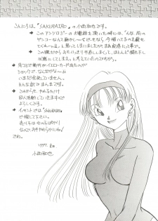 [Chirigami Goya, Fusuma Goten (Shouji Haruko)] Adventure GT (Dragon Ball GT)(English) - page 18