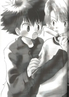 (CR29) [Atsu Atsu COOK (Katagiri Atsuko)] Pirorin Candies (Digimon Adventure) - page 31