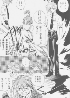 (C54) [Atsumi Bombers (Atsumi Aniki, Hidari Bonsaku)] Love2 Nankyoku Heero Show 2gou (Gundam Wing) - page 13