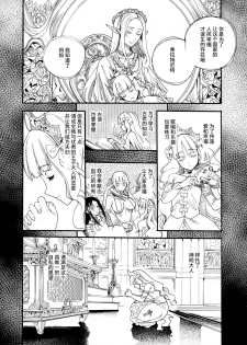 [Nippa Takahide] Kimeseku Oujo to Kowasareta Kishidan - The Princess and the Broken Order [Chinese] [不可视汉化] - page 17