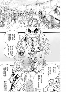 [Nippa Takahide] Kimeseku Oujo to Kowasareta Kishidan - The Princess and the Broken Order [Chinese] [不可视汉化] - page 4
