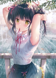 (Akihabara Chou Doujinsai) [TwinBox (Hanahanamaki, Sousouman)] Summer Diary [Decensored] - page 9