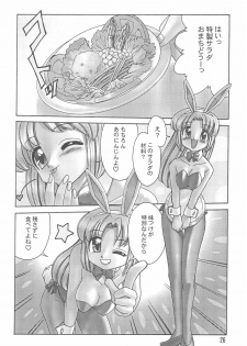 (C61) [STUDIO Hamachigumi (Mizuki Hitoshi)] Ecomanga Ootama 2+α (Ecoko) - page 26