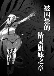 [Triple Head] Inmon Akuochi no Hime Kishidan[Chinese]【不可视汉化】 - page 43