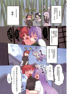 (C88) [RTD (Mizuga)] Mind Shaker (Touhou Project) [Chinese] [矢来夏洛个人汉化] - page 2