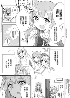 (Akihabara Chou Doujinsai) [Gyuunyuuya-san (Gyuunyuu Nomio)] Hime-sama Sore wa Seisui desu ka? 3 [Chinese] [绅士仓库汉化] - page 15