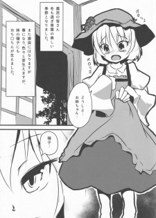 [Pochicolo Nouen (Pochicolo)] Imouto ga Tanemaki Suru node (Touhou Project) - page 4