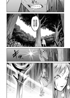 蔷薇园传奇 01-02 Chinese [多啦联盟] - page 30