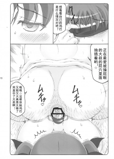 (C96) [Abarenbow Tengu (Izumi Yuujiro)] Kotori 16 (Fate/stay night) [Chinese] [皮蛋蛋个人汉化] - page 18
