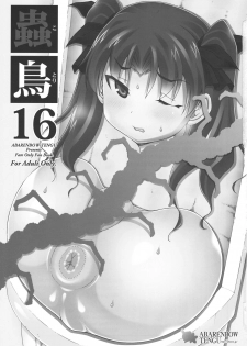 (C96) [Abarenbow Tengu (Izumi Yuujiro)] Kotori 16 (Fate/stay night) [Chinese] [皮蛋蛋个人汉化] - page 3