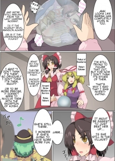 [Zensuu Hakai Kensa (Black)] Hangeki Kinshi! Hai. Watashi wa Anata no Aigangu | No Counterattack! Yes. I am your plaything. (Touhou Project) [English] [Digital] - page 24