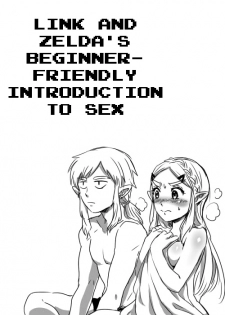 [Wasabi] Link to Zelda no Shoshinsha ni Yasashii Sex Nyuumon | Link and Zelda's Beginner-friendly Introduction To Sex (The Legend of Zelda: Breath of the Wild) [English] [q91] - page 1