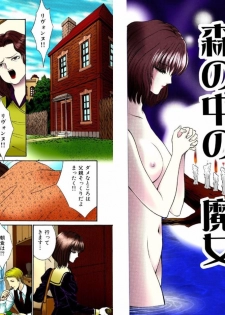 [Senno Knife] Shoujo Fantasy Museum [Japanese] - page 10