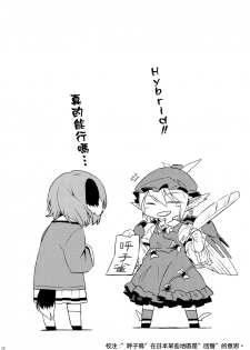 (Yuuenjaku) [Animal Passion (Yude Pea)] Yobukodori Hybrid (Touhou Project) [Chinese] [命蓮寺漢化組] - page 19