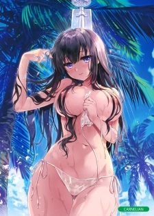 (Akihabara Chou Doujinsai) Melonbooks Sexy Girls Collection in Summer Festival - page 11