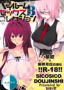 [RIBI Dou (Higata Akatsuki)] My Room Sex Collection B (Fate/Grand Order) [Chinese] [黎欧x新桥月白日语社] [2018-08-24]