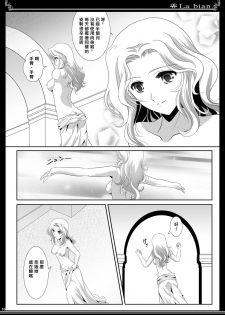 (C90) [Bijutsubu (Shiduki Michiru)] La bian - Beautiful Magic Story [Chinese][矢来夏洛个人汉化] - page 19