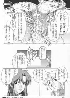 (C64) [GOLD RUSH (Suzuki Address)] Emotion (Ai) (Gundam SEED) - page 24