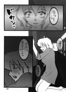 (C69) [Studio BOXER (Machumoto Nyao, Shima Takashi, Taka)] HOHETO 32 (Gundam SEED DESTINY) - page 36