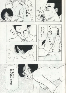 (C50) [Chirigami Goya, Fusuma go Ten (Shouji Hariko)] ZZ (Dragon Ball Z) - page 15
