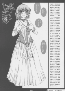 [Coburamenman (Uhhii)] GS (Gundam Seed) - page 3