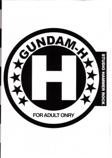 [Studio Hammer Rock] Gundam-H 5 (Gundam Seed) - page 19