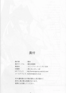 (C75) [Kanten Jigenryuu (Kanten)] NichiBri PERFECT Nyuukou Jouyaku 1.0 (Code Geass) - page 29