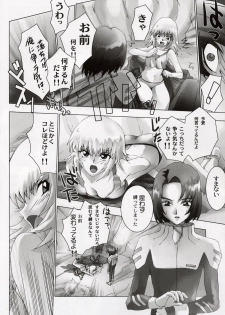(C64) [Toluene Ittokan (Pierre Norano, Shinagawa Ham)] Ketsu Megaton Seed (Gundam Seed) - page 7