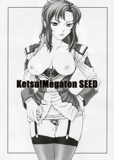 (C64) [Toluene Ittokan (Pierre Norano, Shinagawa Ham)] Ketsu Megaton Seed (Gundam Seed) - page 2