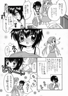 [RINARINA (Shima Mitsuru)] Imouto Kenkyuu Nisshi 4 (Sister Princess) - page 19