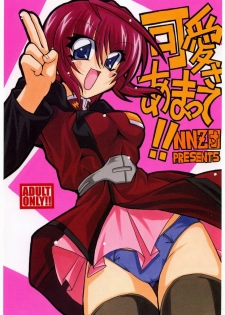 [NNZ Dan] Kawaii Saa Matte!! (Gundam SEED Destiny) - page 1