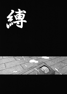 [Kamogawa Tanuki] INNOCENCE -Shinsouban- - page 28
