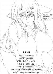 (SC39) [SUTE☆POTE (Kagura Soushi)] type ZERO (Mahou Shoujo Lyrical Nanoha StrikerS) - page 33