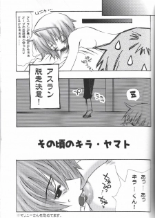 (C68) [C.Bjim (Togawa Hanamaru)] SPACE PINKISH (Mobile Suit Gundam SEED DESTINY) - page 28