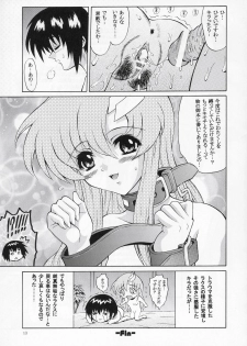 (C66) [GUST (Harukaze Soyogu)] Sternness 3 (Mobile Suit Gundam SEED) - page 12