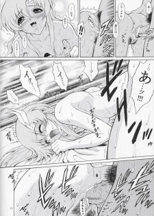 (C66) [GUST (Harukaze Soyogu)] Sternness 3 (Mobile Suit Gundam SEED) - page 11
