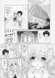 (C66) [GUST (Harukaze Soyogu)] Sternness 3 (Mobile Suit Gundam SEED) - page 6