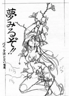 (C47) [Tenchuugumi (Tenchuunan)] IF 8 (Ah! My Goddess) - page 33