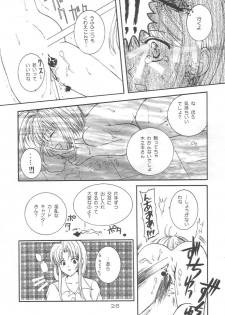 [Alice Syndrome] Cerise 2 (Card Captor Sakura) - page 25