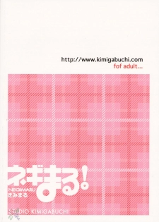 [C65] [Studio Kimigabuchi] Negimaru (Mahou Sensei Negima) [English] [SaHa] - page 38