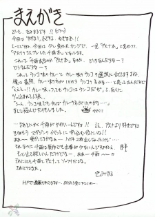 [C65] [Studio Kimigabuchi] Negimaru (Mahou Sensei Negima) [English] [SaHa] - page 3
