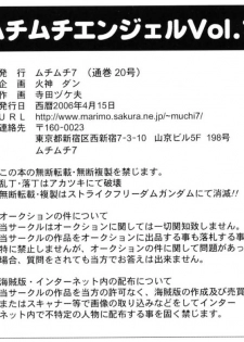 (SC31) [MuchiMuchi7 (Hikami Dan, Terada Tsugeo)] MuchiMuchi Angel Vol. 11 (Gundam Seed Destiny) - page 31