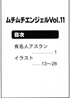 (SC31) [MuchiMuchi7 (Hikami Dan, Terada Tsugeo)] MuchiMuchi Angel Vol. 11 (Gundam Seed Destiny) - page 2